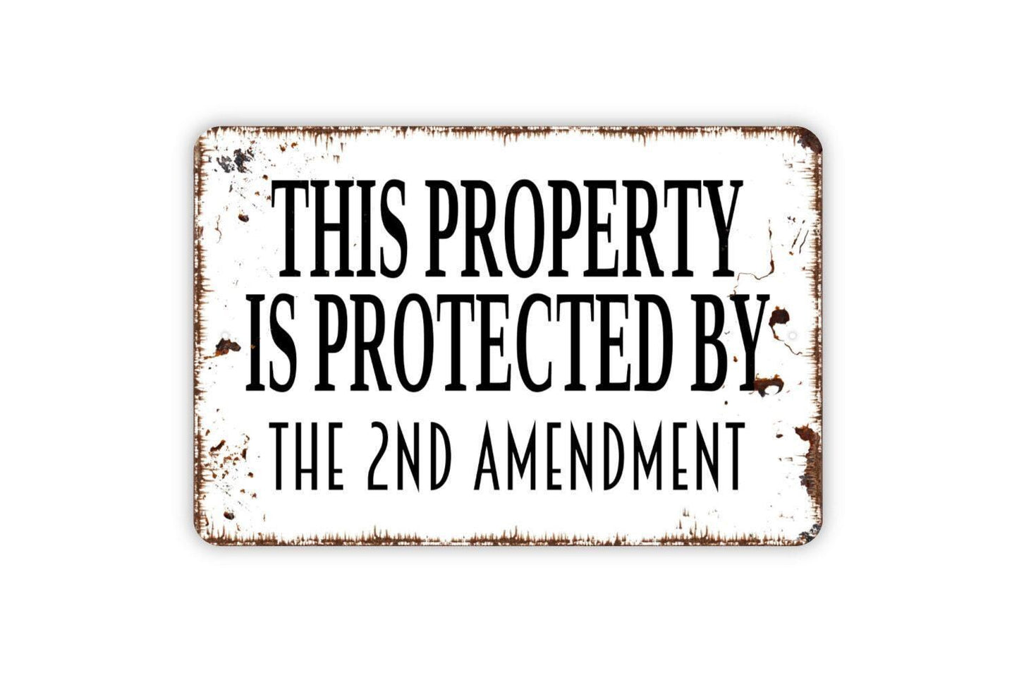 This Property Is Protected By The Second Amendment Sign - Metal Wall Art - Indoor or Outdoor