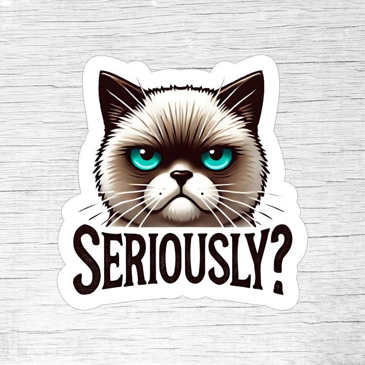 Seriously Funny Mad Cat Sticker for Sarcastic Cat Lovers
