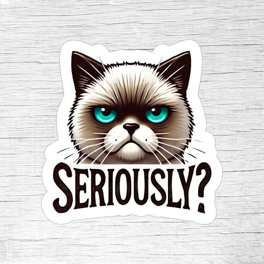 Seriously Funny Mad Cat Sticker for Sarcastic Cat Lovers