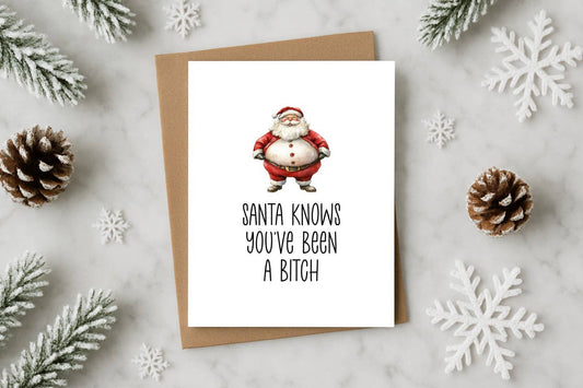 Funny Christmas Card – Santa Knows You’ve Been a Bitch