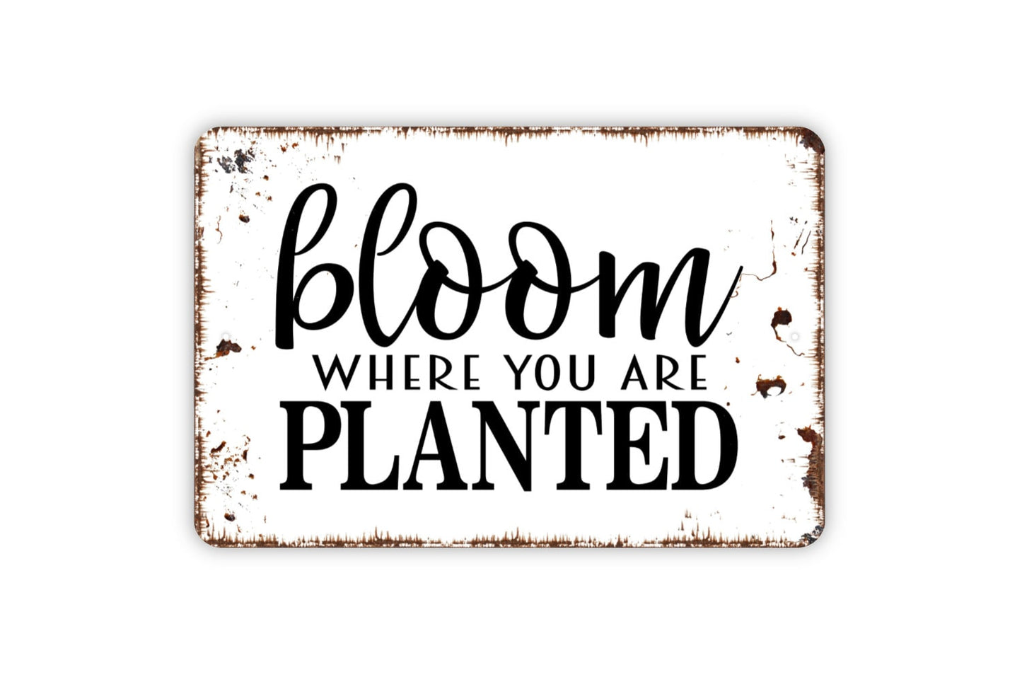 Bloom Where You Are Planted Sign, Funny Garden Affirmation Metal Sign, Farmhouse Contemporary Modern Wall Metal Sign