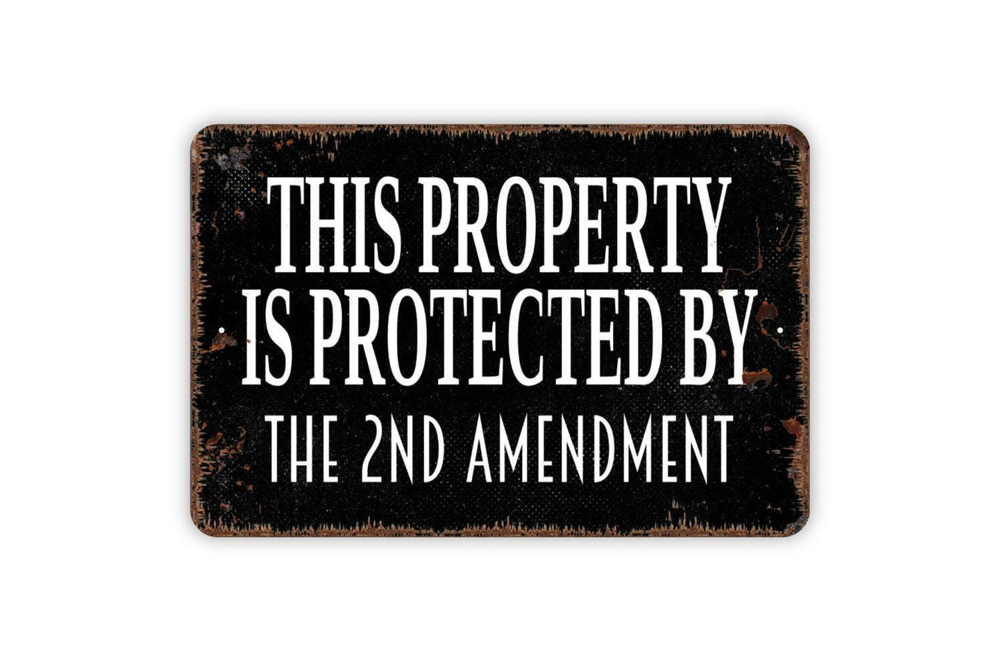 This Property Is Protected By The Second Amendment Sign - Metal Wall Art - Indoor or Outdoor