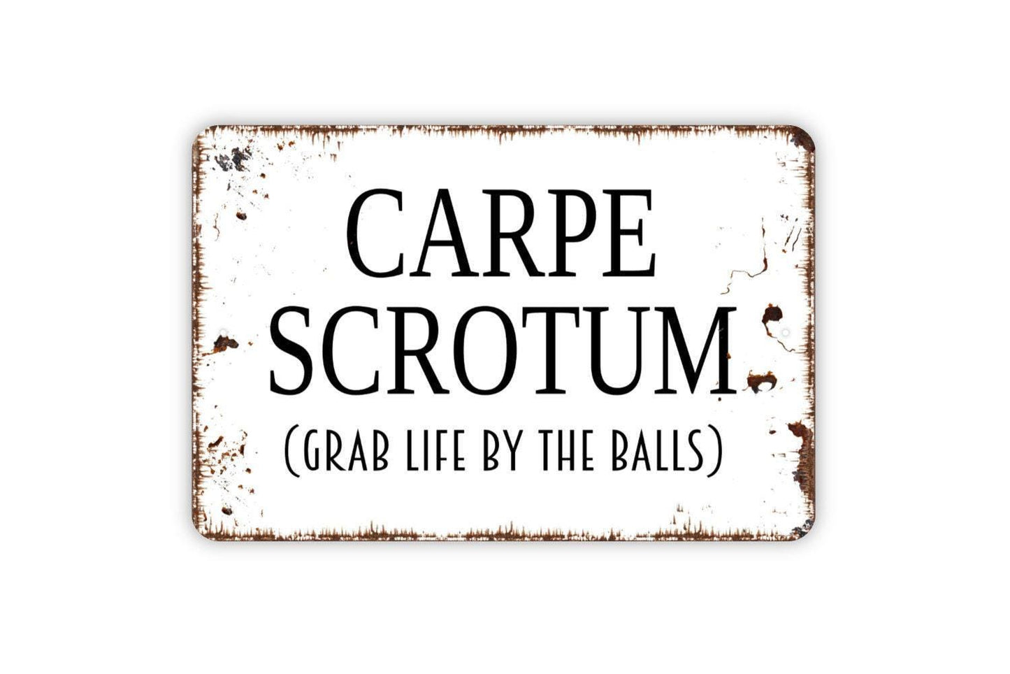 Carpe Scrotum Grab Life By The Balls Sign, Funny Inspirational Metal Sign Farmhouse Wall Decor Modern Metal Sign
