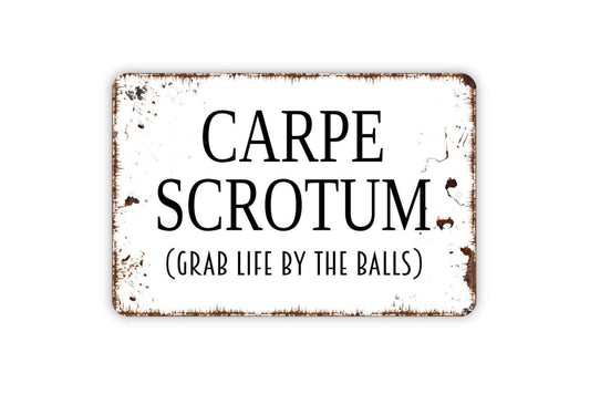 Carpe Scrotum Grab Life By The Balls Sign, Funny Inspirational Metal Sign Farmhouse Wall Decor Modern Metal Sign